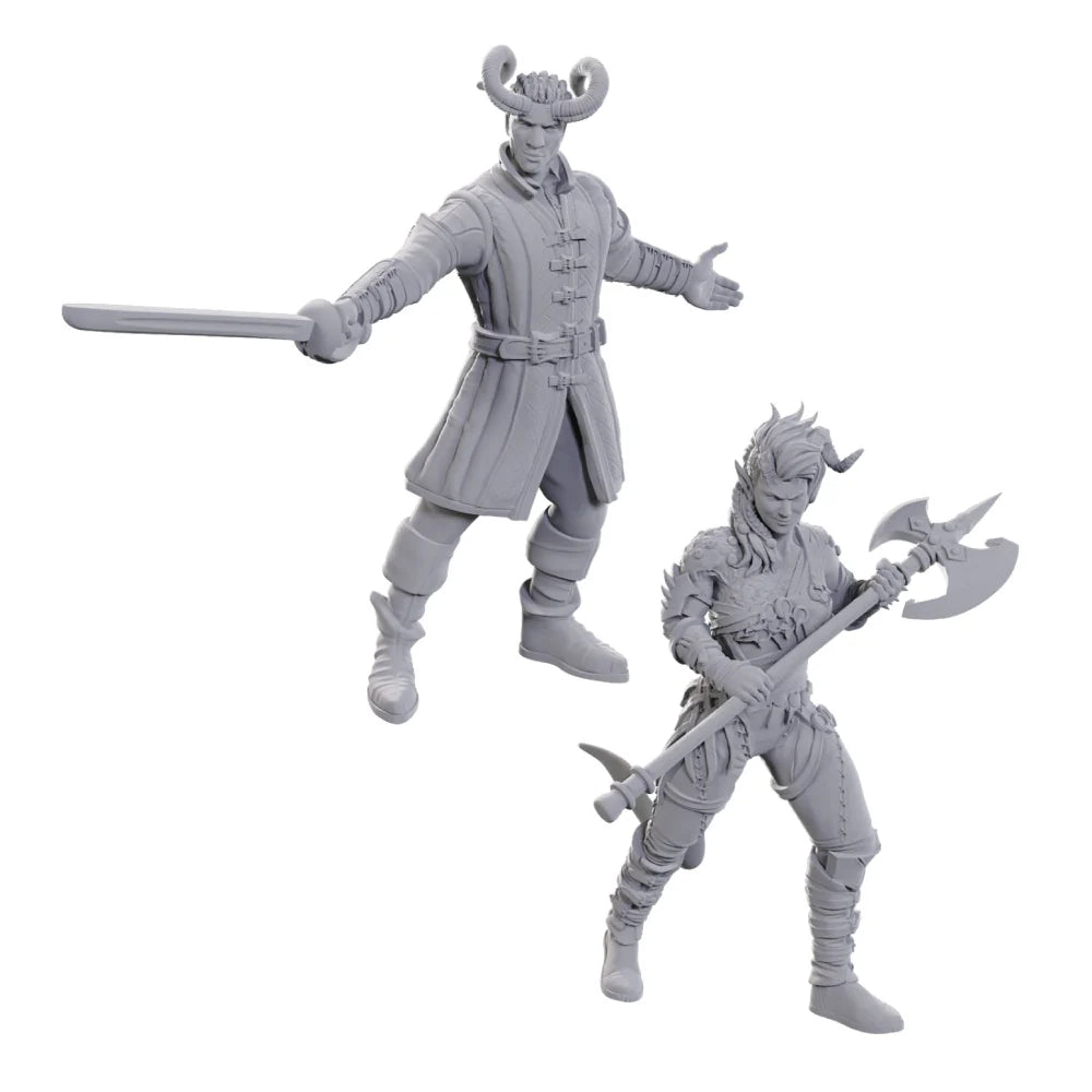 D&D Nolzur's Marvelous Miniatures: Special Edition Baldur's Gate 3 - Wyll & Karlach