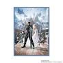 Final Fantasy XV: Noctis - Card Sleeves (100ct)
