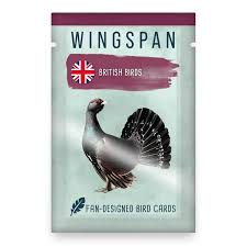 Wingspan: Fan Designed Pack – Britain