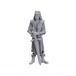 D&D Nolzur's Marvelous Miniatures: Limited Edition 50th Anniversary - Skeleton Knight