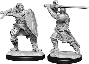 Dungeons & Dragons Nolzur`s Marvelous Unpainted Miniatures: W14 Human Paladin Male