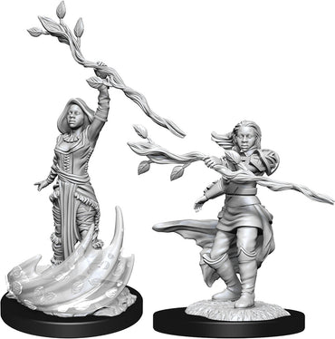 Dungeons & Dragons Nolzur`s Marvelous Unpainted Miniatures: W14 Human Druid Female