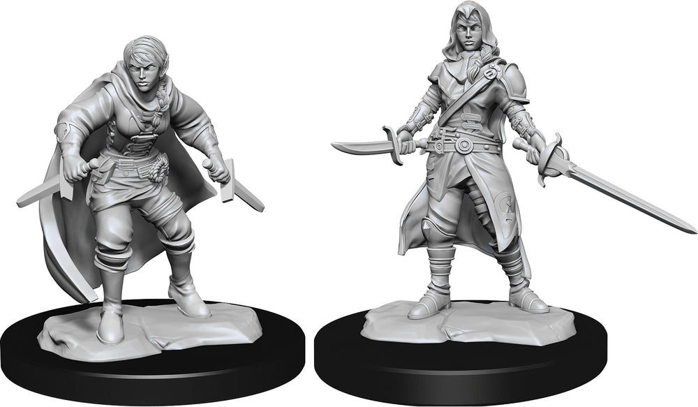 Dungeons & Dragons Nolzur`s Marvelous Unpainted Miniatures: W14 Half-Elf Rogue Female