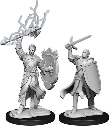 Dungeons & Dragons Nolzur`s Marvelous Unpainted Miniatures: W14 Half-Elf Paladin Male