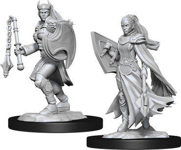 Dungeons & Dragons Nolzur`s Marvelous Unpainted Miniatures: W14 Kalashtar Cleric Female