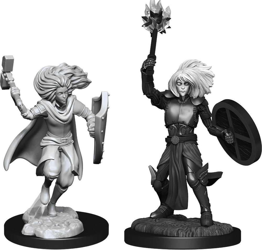 Dungeons & Dragons Nolzur`s Marvelous Unpainted Miniatures: W14 Changeling Cleric Male