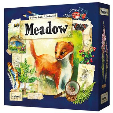 MEADOW